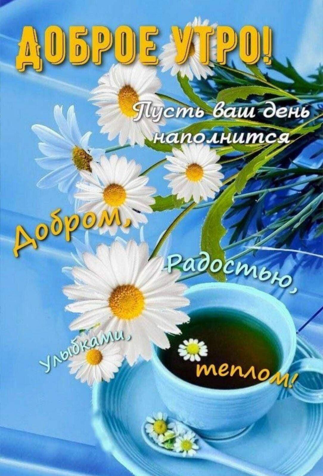 http://upforme.ru/uploads/000a/78/7a/526/731657.jpg