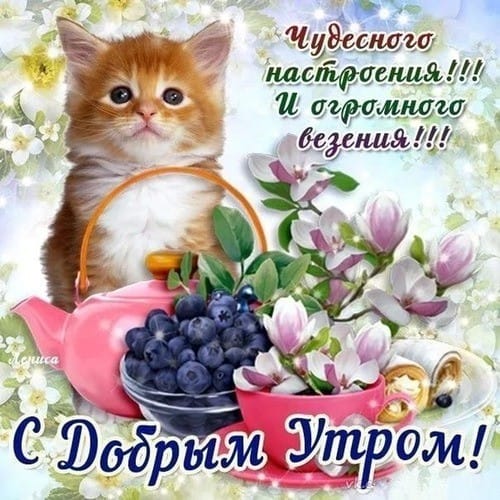http://upforme.ru/uploads/000a/78/7a/526/733434.jpg