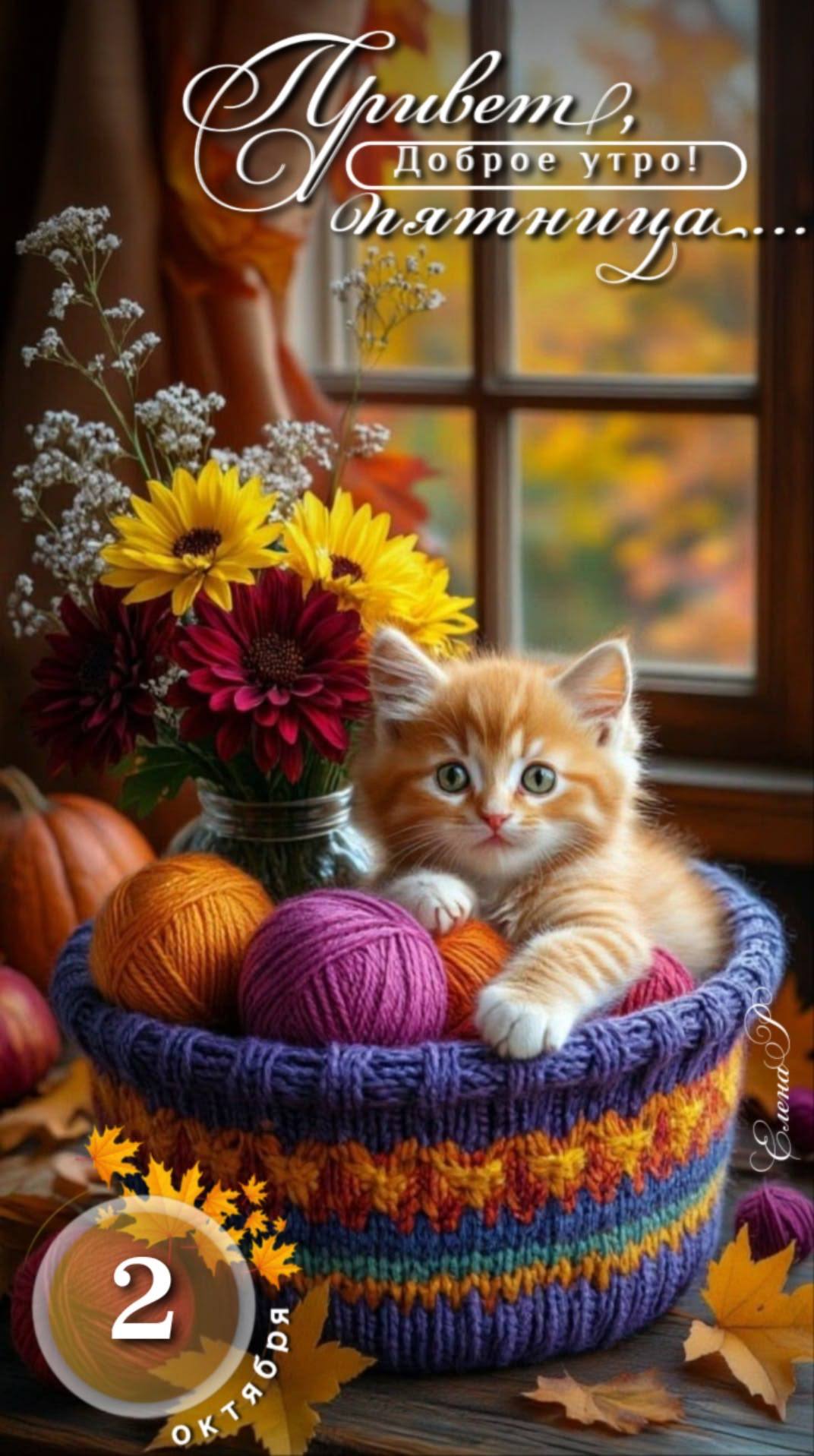 http://upforme.ru/uploads/000a/78/7a/526/745724.jpg