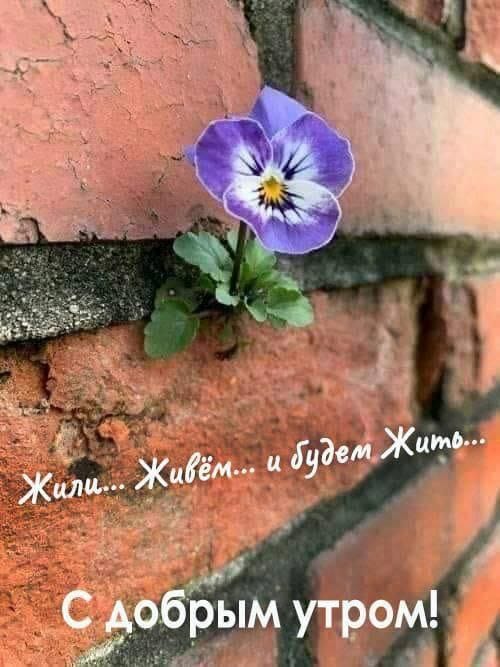 http://upforme.ru/uploads/000a/78/7a/526/766374.jpg