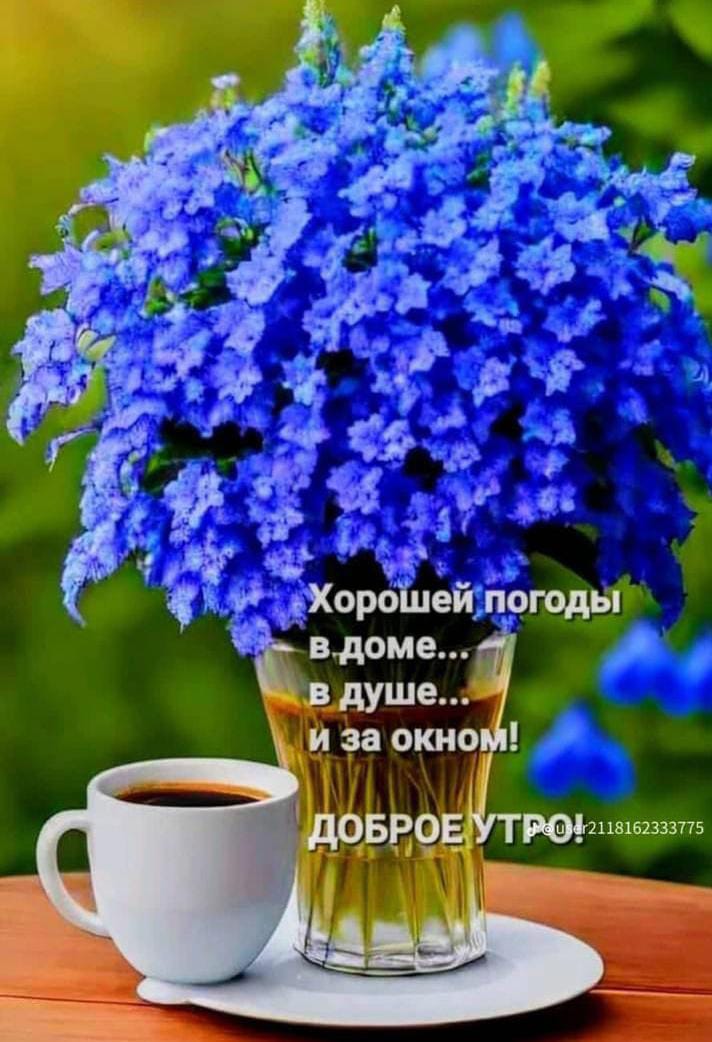 http://upforme.ru/uploads/000a/78/7a/526/768142.jpg