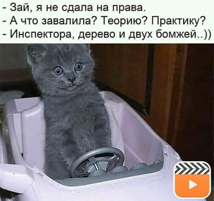 http://upforme.ru/uploads/000a/78/7a/526/782498.jpg