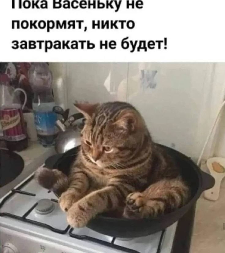 http://upforme.ru/uploads/000a/78/7a/526/783186.jpg