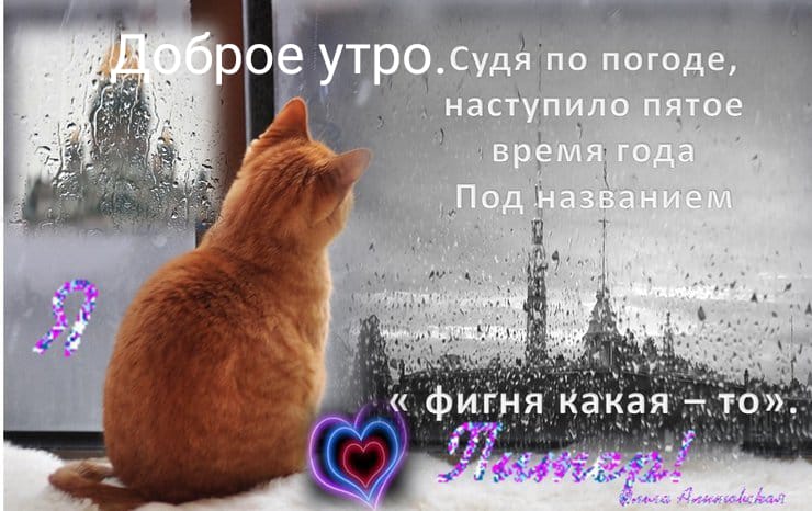 http://upforme.ru/uploads/000a/78/7a/526/788560.jpg