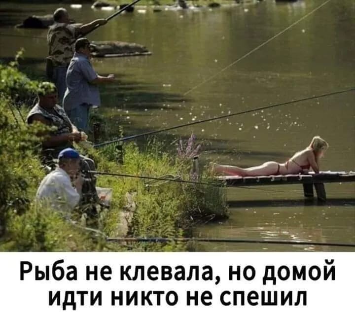 http://upforme.ru/uploads/000a/78/7a/526/804642.jpg