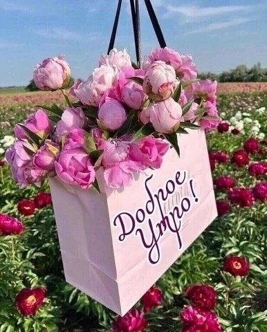 http://upforme.ru/uploads/000a/78/7a/526/805867.jpg