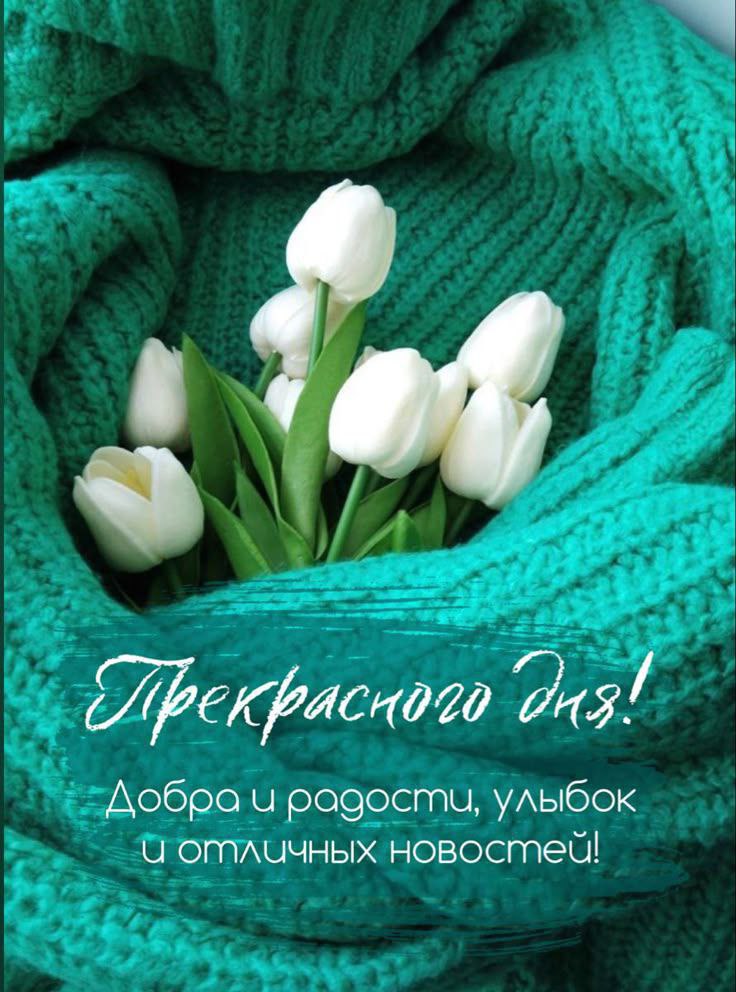 http://upforme.ru/uploads/000a/78/7a/526/814040.jpg