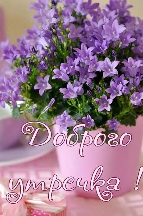 http://upforme.ru/uploads/000a/78/7a/526/827931.jpg