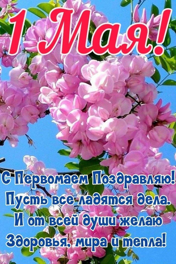 http://upforme.ru/uploads/000a/78/7a/526/835808.jpg