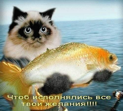 http://upforme.ru/uploads/000a/78/7a/526/884289.jpg