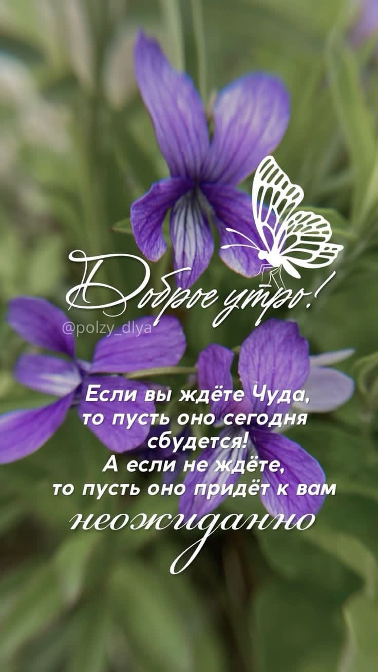 http://upforme.ru/uploads/000a/78/7a/526/918380.jpg