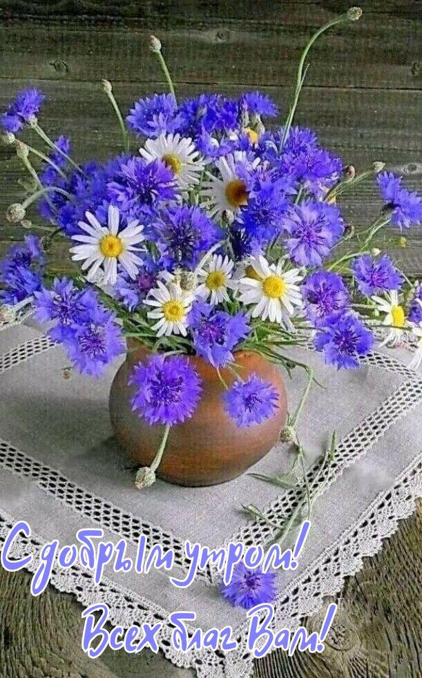 http://upforme.ru/uploads/000a/78/7a/526/928984.jpg