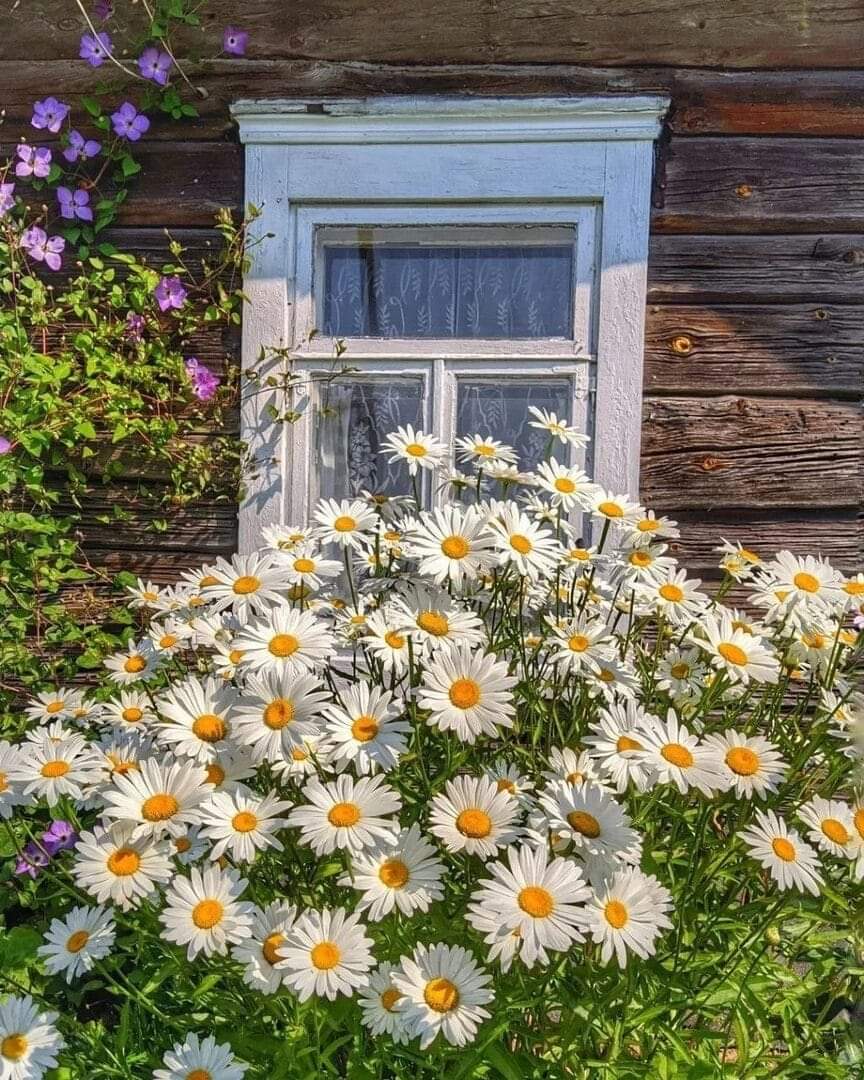 http://upforme.ru/uploads/000a/78/7a/526/937614.jpg