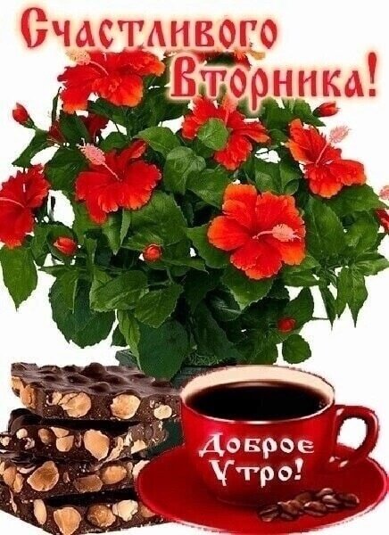 http://upforme.ru/uploads/000a/78/7a/526/938290.jpg