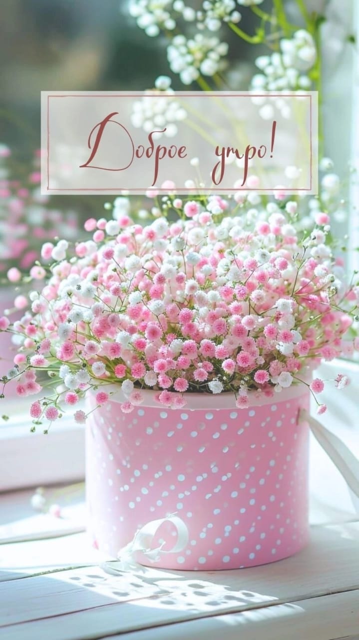 http://upforme.ru/uploads/000a/78/7a/526/94974.jpg