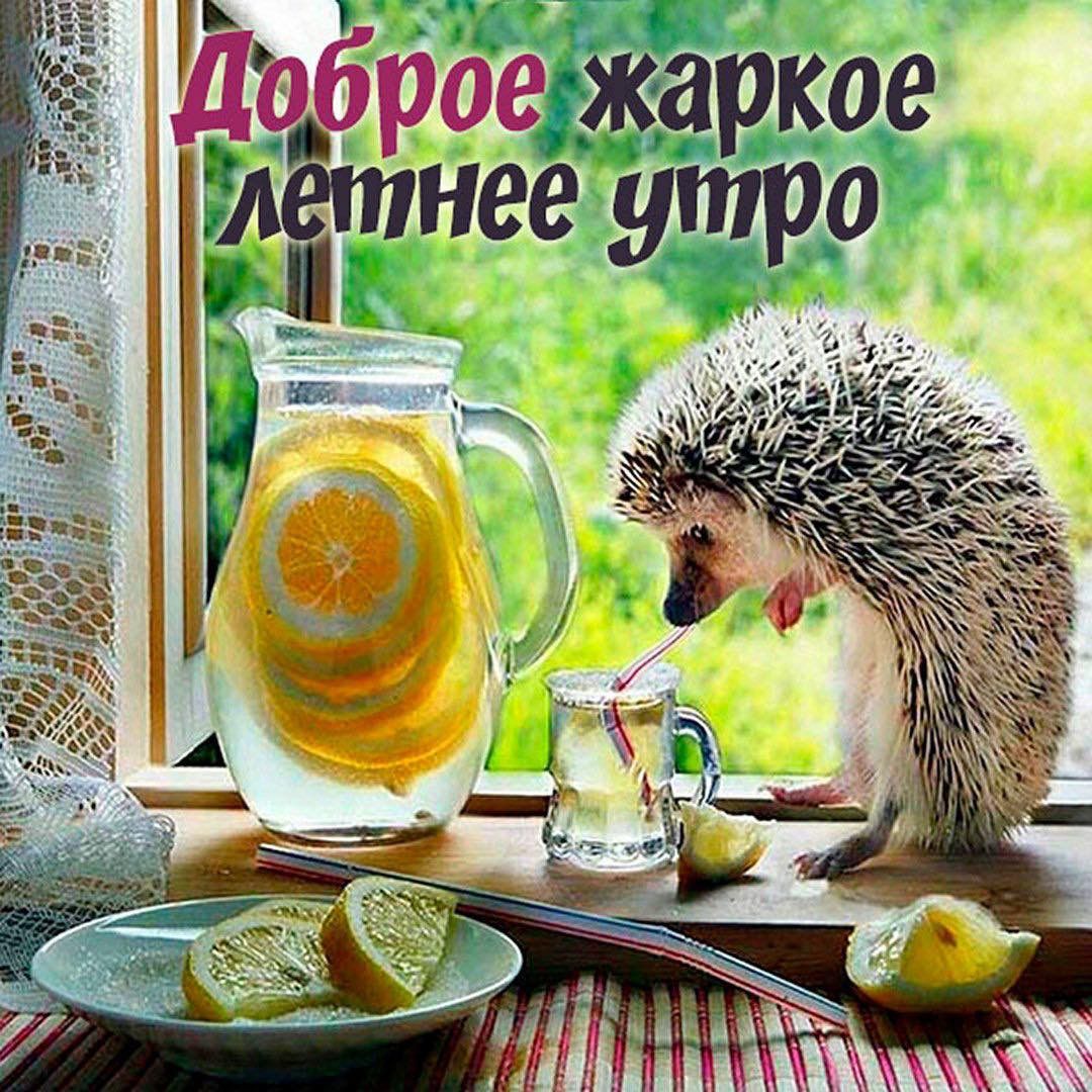 http://upforme.ru/uploads/000a/78/7a/526/952986.jpg