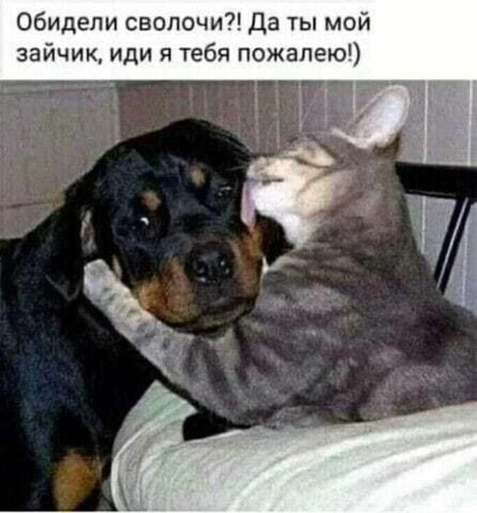 http://upforme.ru/uploads/000a/78/7a/526/964923.jpg