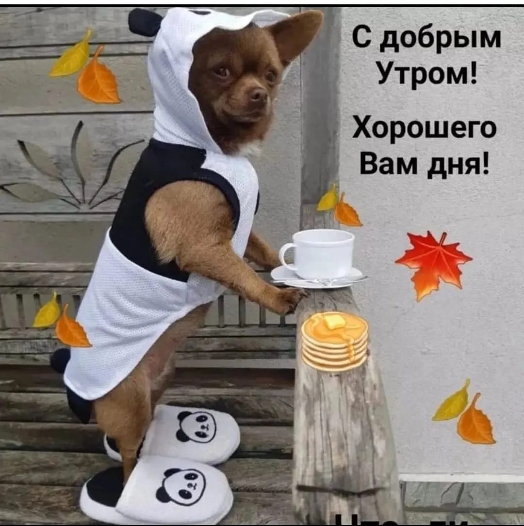 http://upforme.ru/uploads/000a/78/7a/526/978219.jpg