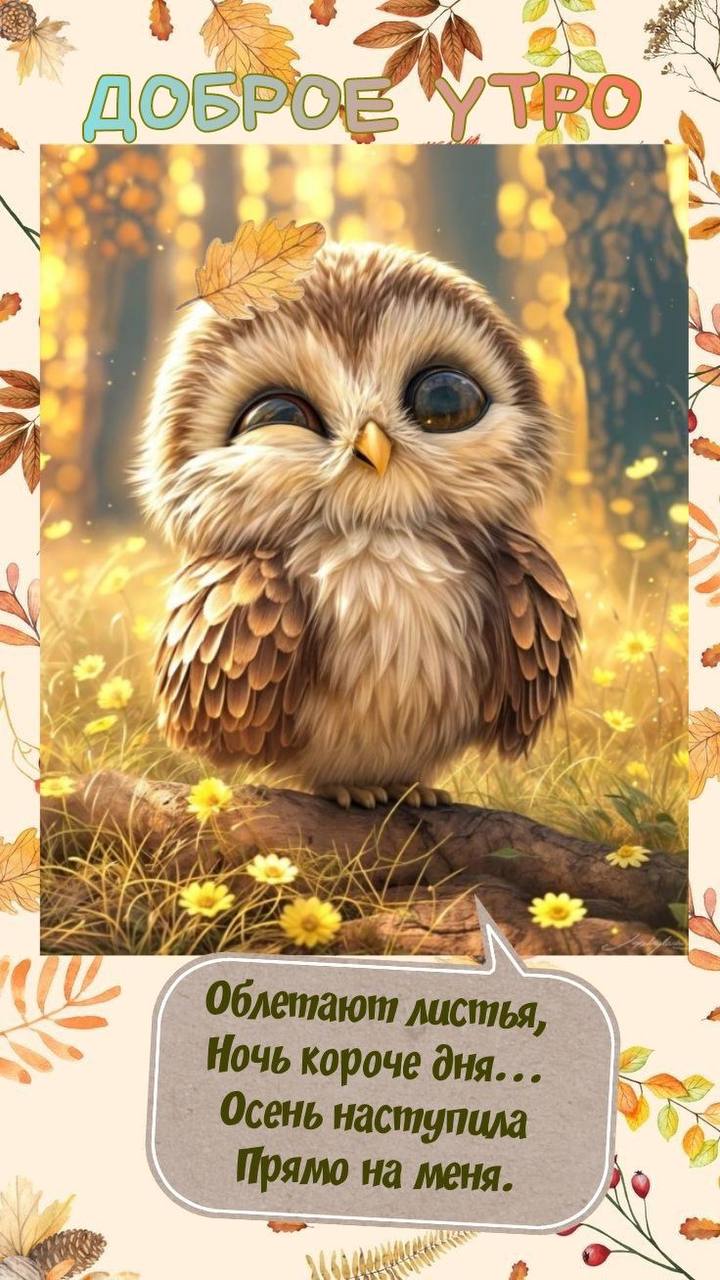 http://upforme.ru/uploads/000a/78/7a/526/997977.jpg