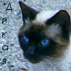 http://upforme.ru/uploads/000a/7e/64/139860-3.jpg