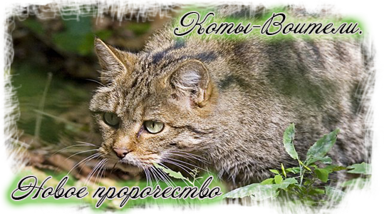 http://upforme.ru/uploads/000a/7e/64/1480-1-f.png