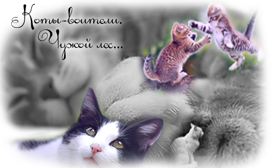 http://upforme.ru/uploads/000a/7e/64/1486-1-f.png