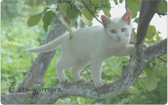 http://upforme.ru/uploads/000a/7e/64/5709-1-f.png