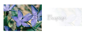 http://upforme.ru/uploads/000a/ac/7f/202-4.png