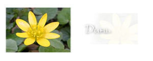 http://upforme.ru/uploads/000a/ac/7f/204-1.png