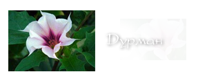 http://upforme.ru/uploads/000a/ac/7f/204-2.png