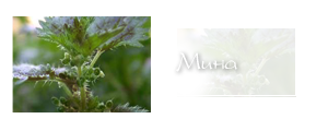 http://upforme.ru/uploads/000a/ac/7f/205-1.png