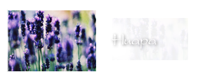 http://upforme.ru/uploads/000a/ac/7f/205-2.png