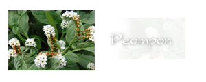http://upforme.ru/uploads/000a/ac/7f/205-5.png