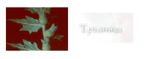 http://upforme.ru/uploads/000a/ac/7f/206-1.png