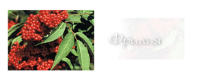 http://upforme.ru/uploads/000a/ac/7f/206-2.png