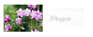 http://upforme.ru/uploads/000a/ac/7f/256-2.png