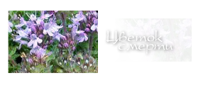 http://upforme.ru/uploads/000a/ac/7f/256-4.png