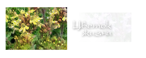 http://upforme.ru/uploads/000a/ac/7f/256-5.png