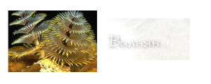 http://upforme.ru/uploads/000a/ac/7f/274-2.png