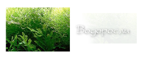 http://upforme.ru/uploads/000a/ac/7f/274-3.png