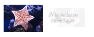 http://upforme.ru/uploads/000a/ac/7f/274-4.png
