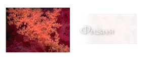 http://upforme.ru/uploads/000a/ac/7f/275-4.png
