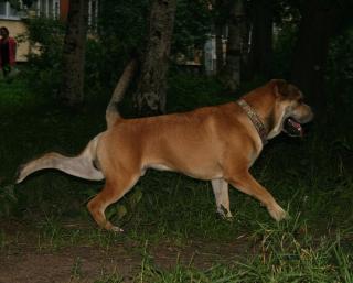 http://upforme.ru/uploads/000a/b8/da/19748-1.jpg