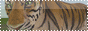 http://upforme.ru/uploads/000a/cd/8d/24249-1.gif