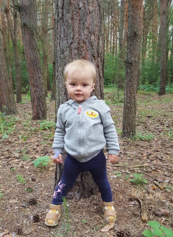 http://upforme.ru/uploads/000a/d8/24/1186/t26481.jpg
