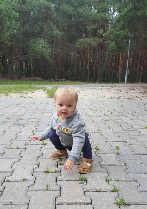 http://upforme.ru/uploads/000a/d8/24/1186/t511154.jpg