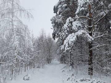 http://upforme.ru/uploads/000a/d8/24/9/t553294.jpg