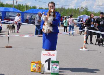 http://upforme.ru/uploads/000a/dd/f3/2/t167741.jpg