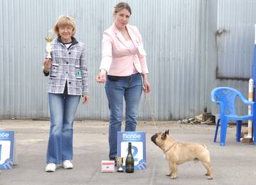 http://upforme.ru/uploads/000a/dd/f3/2/t187163.jpg