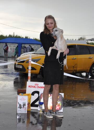 http://upforme.ru/uploads/000a/dd/f3/2/t197717.jpg